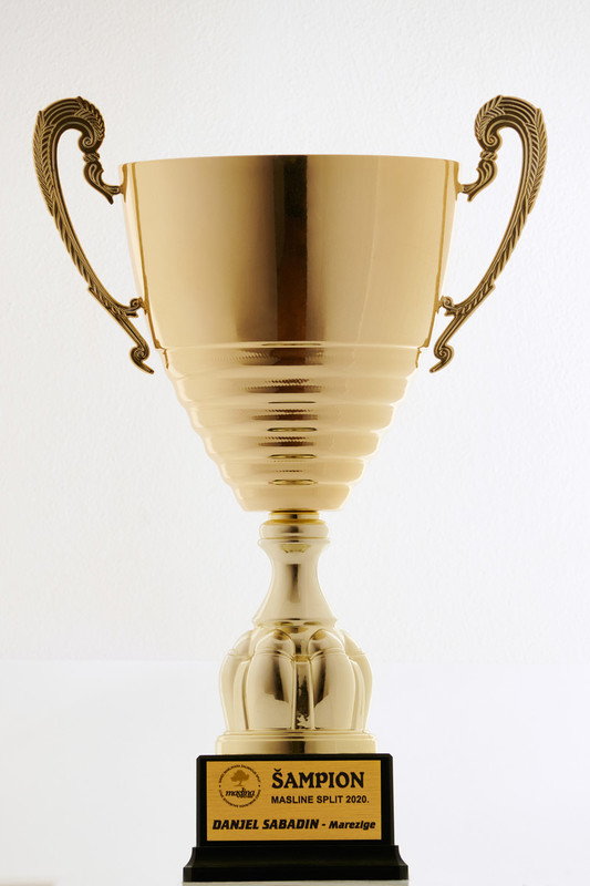 priznanja/Pokal1