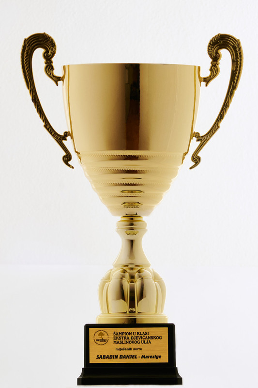 priznanja/Pokal2