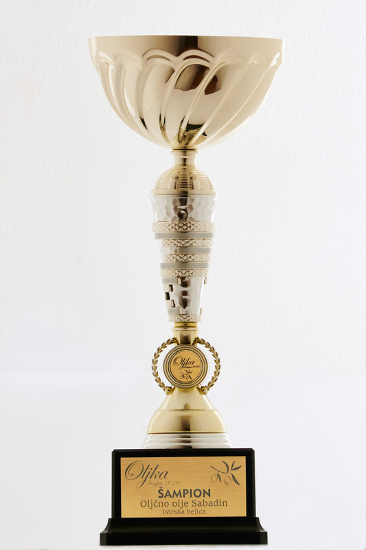 priznanja/Pokal3